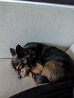 Fotochallange - Eingekugelt-Beitrag-Bild