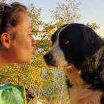 Ersteller:in AnimaL Profilbild