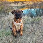 Ersteller:in Jessica Profilbild