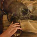 Ersteller:in Donni Profilbild