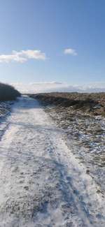 Hundeauslaufgebiet-Waldemarsmauer-Bild