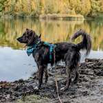 Ersteller:in Jannina Profilbild