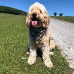 Ersteller:in Steffen Profilbild