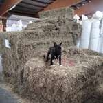 Ersteller:in Damaris Profilbild