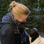 Ersteller:in Alisa Profilbild