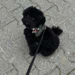 Ersteller:in Tijen Profilbild