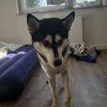 Ersteller:in Benedikt Profilbild