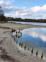 Hundeauslaufgebiet-Wieksee-Bild