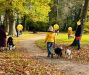 Hundeauslaufgebiet-Evenburg Schlosspark-Bild