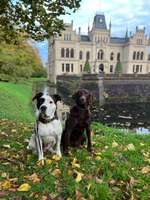 Hundeauslaufgebiet-Evenburg Schlosspark-Bild