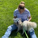 Ersteller:in Sophie Profilbild