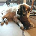 Ersteller:in Heike Profilbild