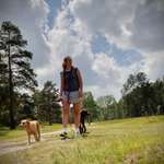 Ersteller:in Henni Profilbild