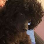 Ersteller:in Moni Profilbild