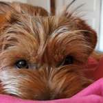 Ersteller:in Anja Profilbild