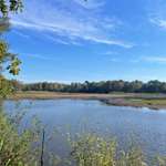 Hundeauslaufgebiet-Würmsee-Bild