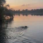 Hundeauslaufgebiet-Eixer See-Bild