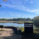 Hundeauslaufgebiet-Würmsee-Bild