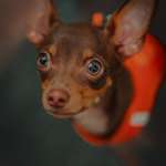 Ersteller:in Lisa Profilbild