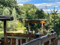 Hundeauslaufgebiet-Hundewald Doghausen-Bild