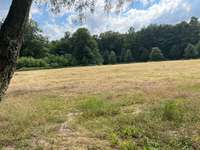 Hundeauslaufgebiet-Schlosspark Herten-Bild