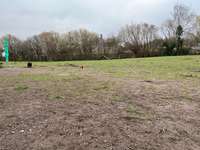 Hundeauslaufgebiet-Hundewiese Oer-erkenschwick-Bild