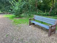 Hundeauslaufgebiet-Hundewald Doghausen-Bild