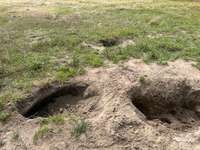 Hundeauslaufgebiet-Schlosspark Herten-Bild