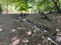 Hundeauslaufgebiet-Hundewald Doghausen-Bild