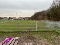 Hundeauslaufgebiet-Olfen an der Dreibogenbrücke-Bild