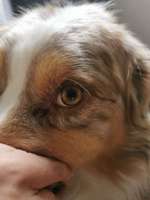 Fleck im Auge-Beitrag-Bild