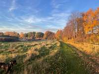 Hundeauslaufgebiet-Ehemaliger Rennplatz-Bild
