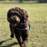 Ersteller:in B Profilbild