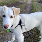 Ersteller:in Olaf Profilbild