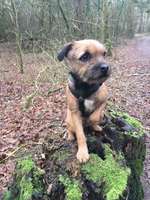 Suchmeldung-Lyka-Bild