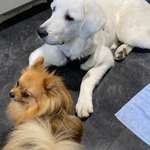 Ersteller:in Madeline Profilbild