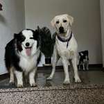 Ersteller:in Kirsten Profilbild