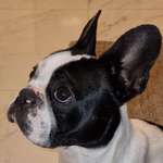 Ersteller:in Patricia Profilbild