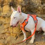 Ersteller:in DoRi Profilbild