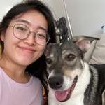 Ersteller:in Wai Lam Profilbild