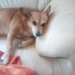 Ersteller:in Klaus Profilbild