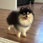 Ersteller:in Marie Profilbild