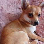 Ersteller:in Claudia Profilbild