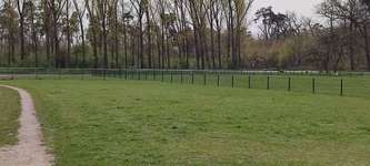 Hundeauslaufgebiet-Lorsch-Bild