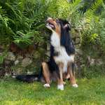 Ersteller:in Angelika Profilbild