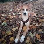 Ersteller:in Sarah Profilbild