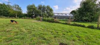 Hundeauslaufgebiet-Eisenbahnmuseum-Bild