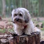 Ersteller:in Miss Profilbild