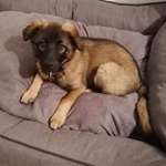 Ersteller:in Robin Profilbild