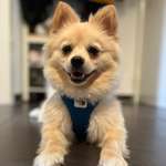 Ersteller:in Jas Profilbild